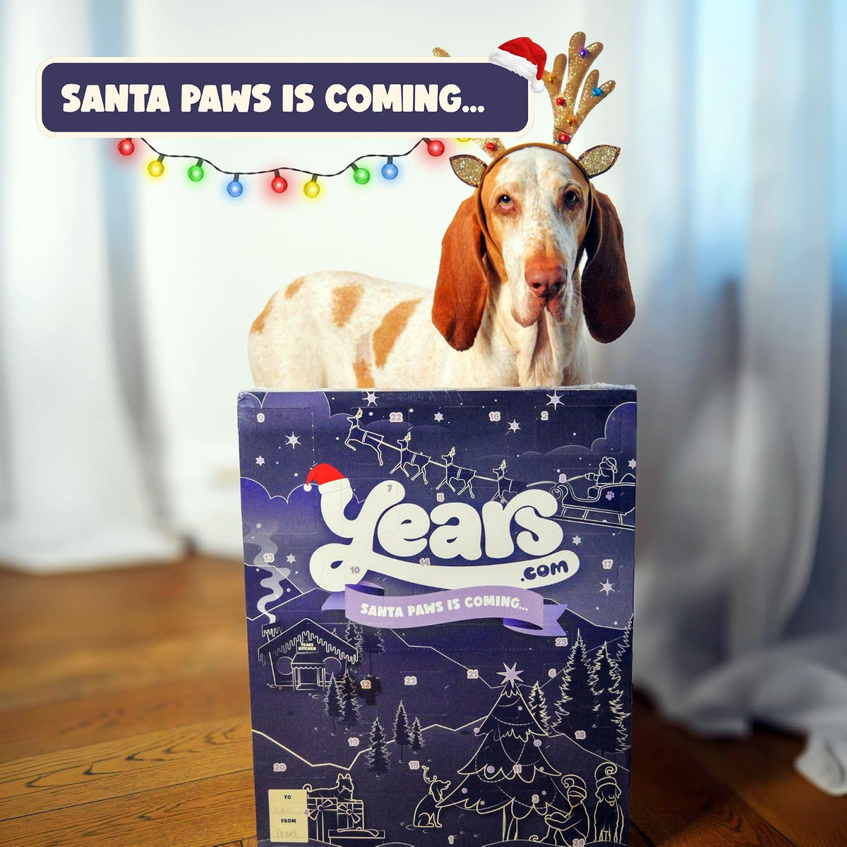 YEARS Extra Large Dog Advent Calendar 2026-55 Air Dried Grain Free Treats