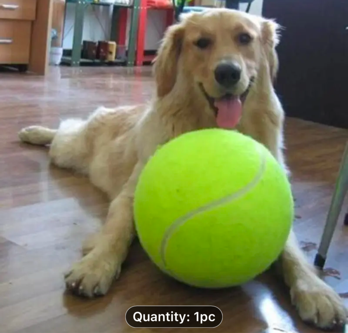 Inflatable Pet Tennis Ball Extra Large - Sayby’s Sanctuary