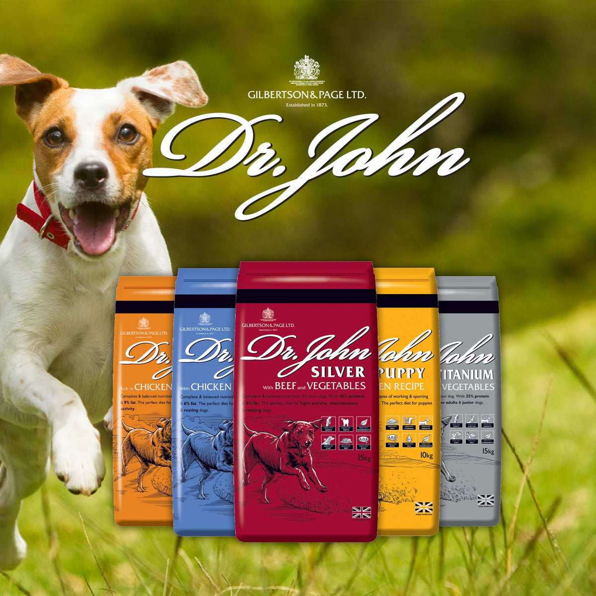 Dr John Silver Dry Dog Food 15kg - Beef with Vegetables - Complete Dog Biscuits 15kg - Senior and Adult Dog Food for Light Activity, Maintenance and Resting Dogs - Sayby’s