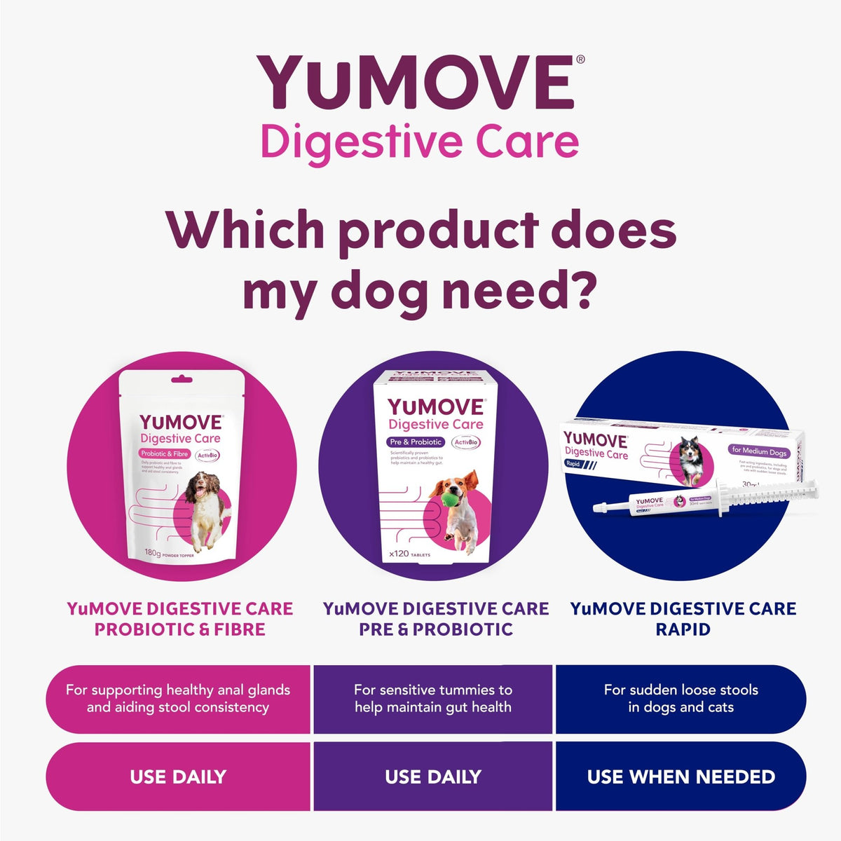 YuMOVE Digestive Care Rapid, Dog Pre and Probiotic Paste for Gut Health, Digestive Supplements with Fast-Acting Ingredients for Medium Dogs, 30ml - Sayby’s