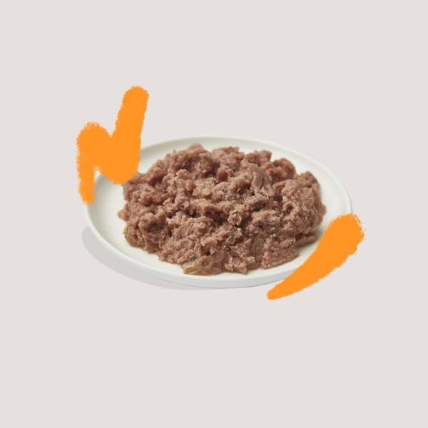 Grain Free Wet Cat Food Paté Salmon & Chicken 16 x 85g