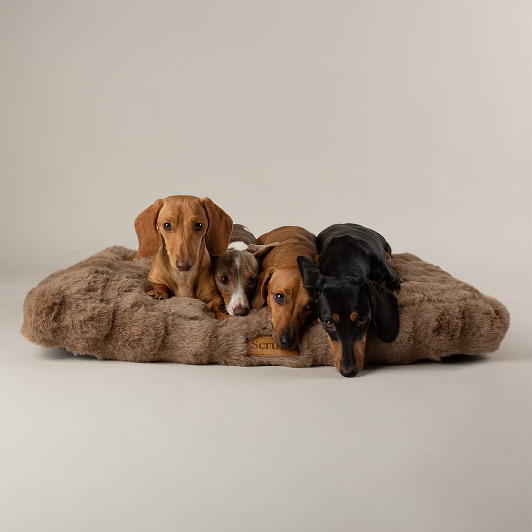 Scruffs Luxury Alpine Box Bed For Dogs or Cats (M)