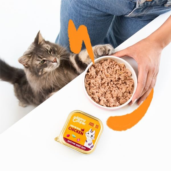 Grain Free Wet Cat Food Paté Salmon & Chicken 16 x 85g