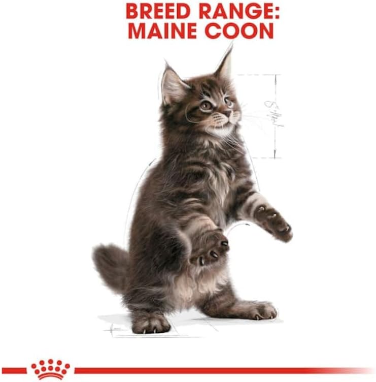 Maine Coon Kitten Food 4 x 400g