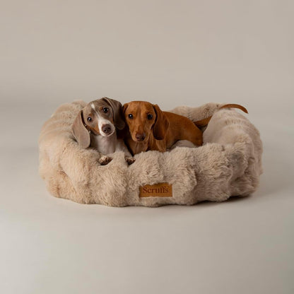 Scruffs Luxury Alpine Box Bed For Dogs or Cats (M)