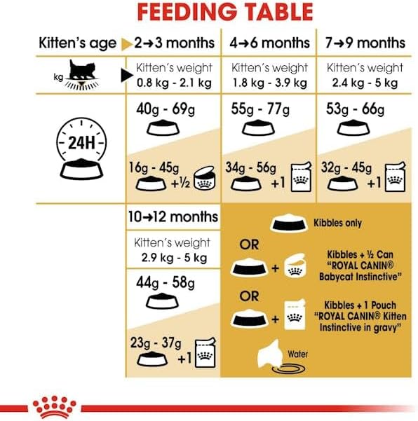 Persian Kitten Cat Food