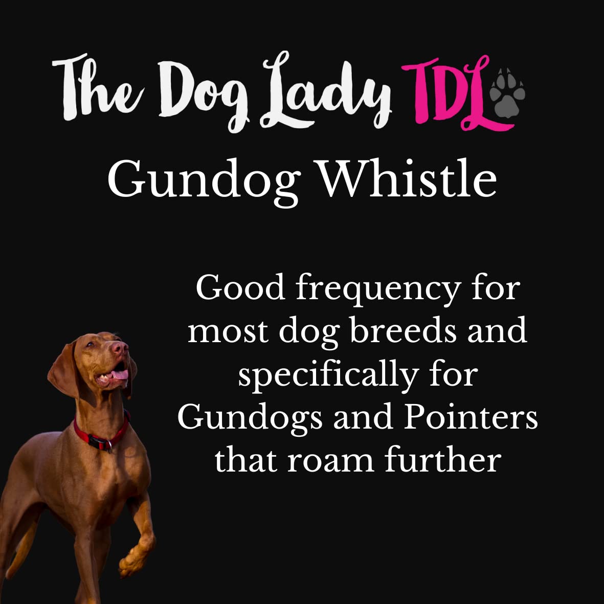 Gun Dog Training Whistle with Lanyard