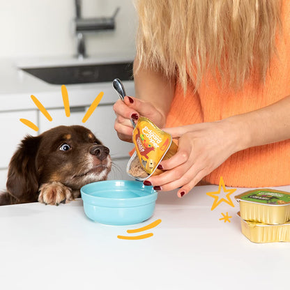 Grain-Free Wet Dog Food for Adult Dogs 11 x 150g