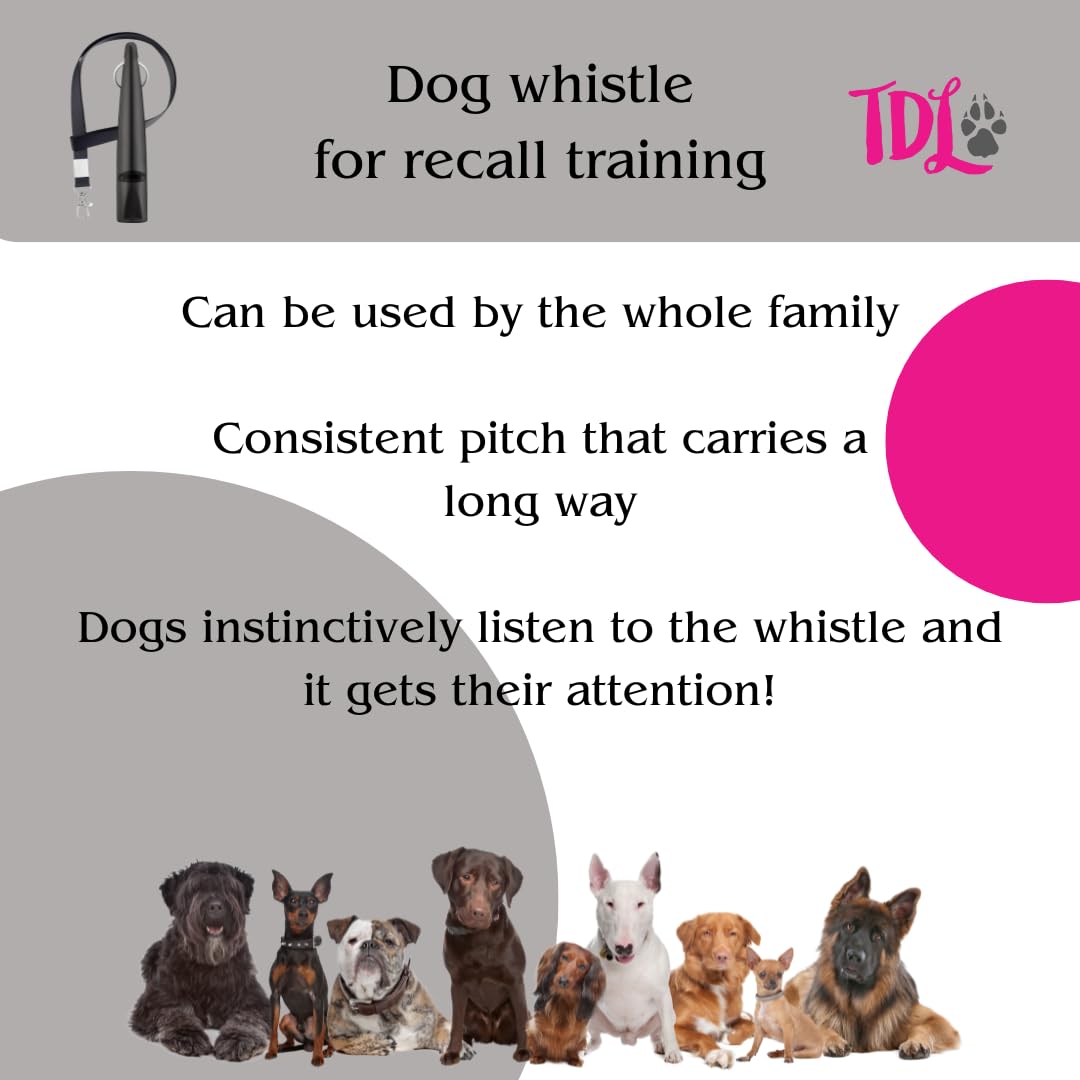 Gun Dog Training Whistle with Lanyard