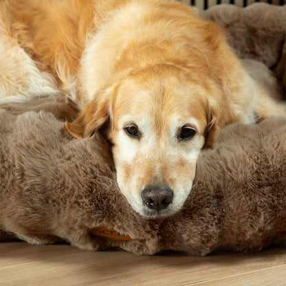 Scruffs Luxury Alpine Box Bed For Dogs or Cats (M)
