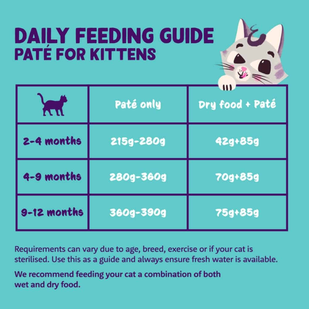 Grain Free Wet Cat Food Paté Salmon & Chicken 16 x 85g
