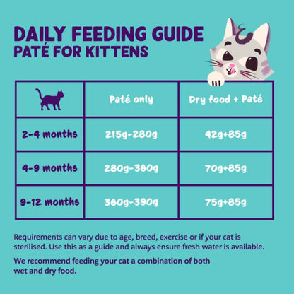 Grain Free Wet Cat Food Paté Salmon & Chicken 16 x 85g