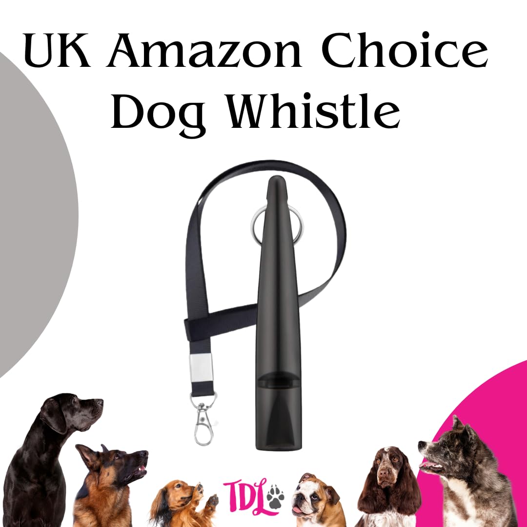 Gun Dog Training Whistle with Lanyard