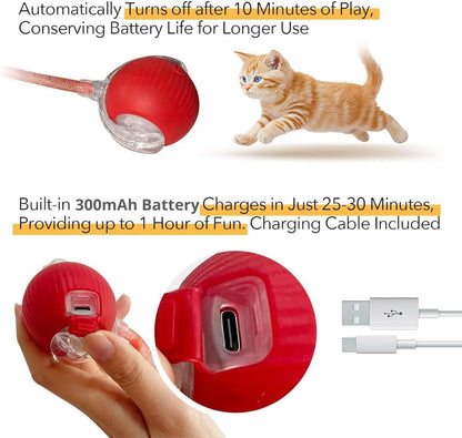 Speedy Tail 2.0 Interactive Rolling Cat Ball Toy