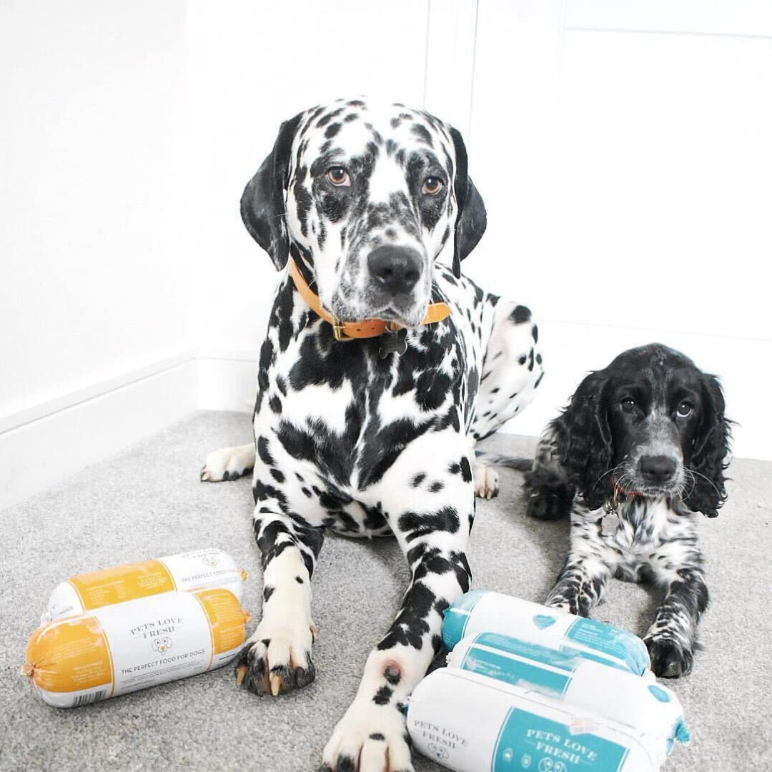 Fresh Dog Food Simply Chicken 5 x 600g Chub Rolls