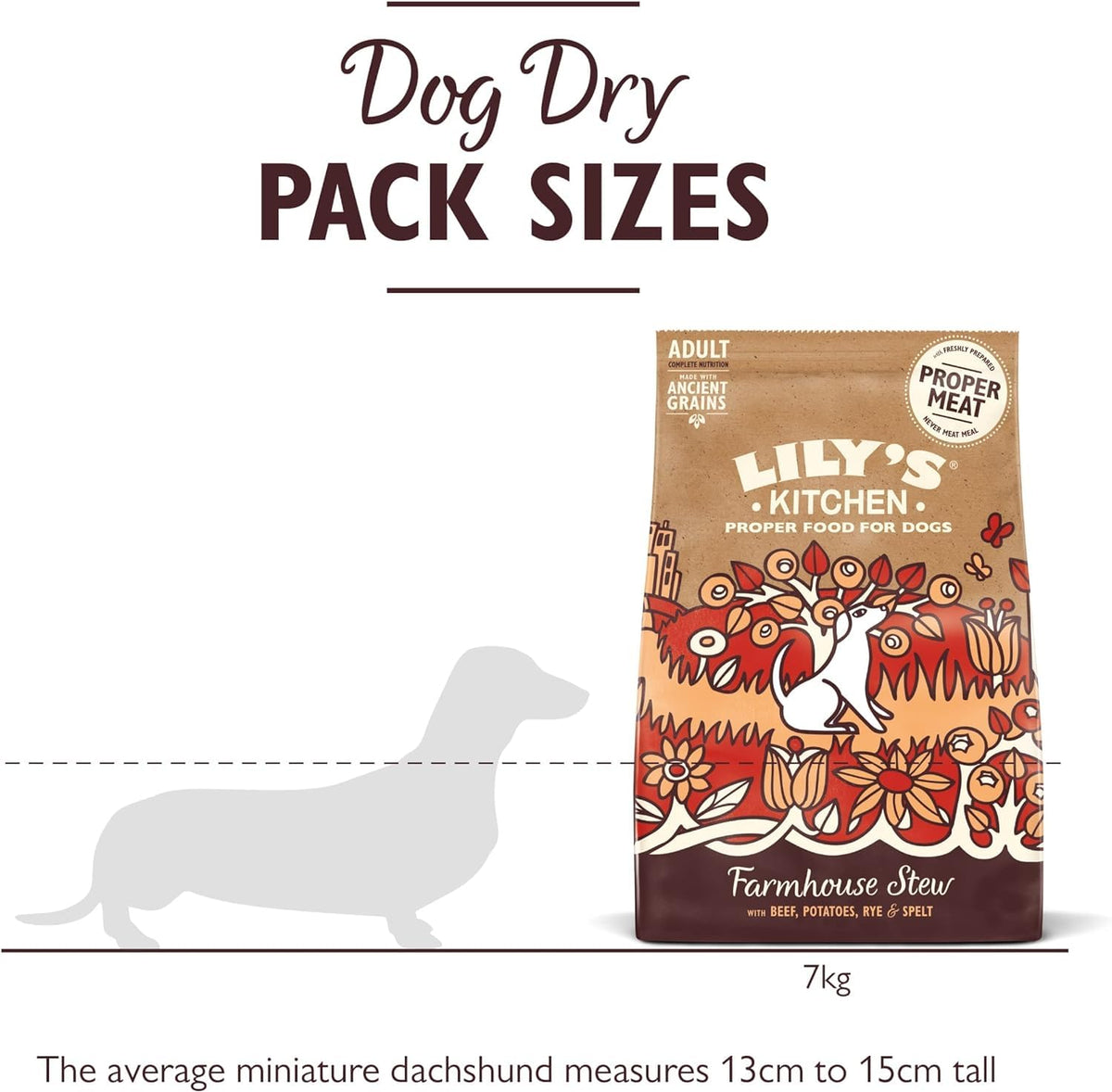 Natural Adult Dry Dog Food Beef Stew with Ancient Grains 1kg