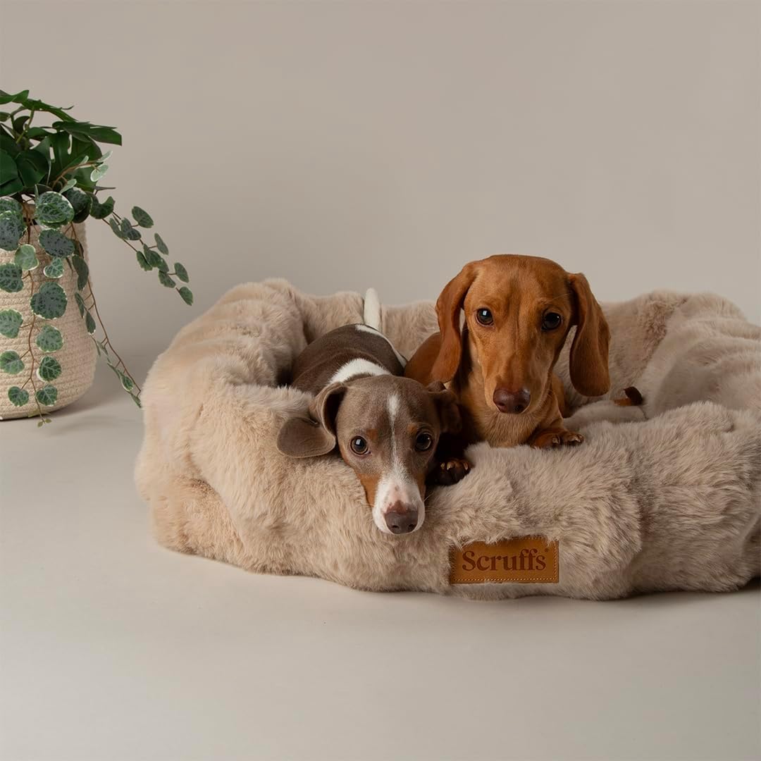 Scruffs Luxury Alpine Box Bed For Dogs or Cats (M)