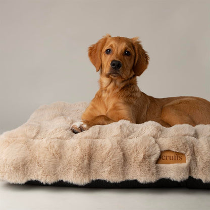 Scruffs Luxury Alpine Box Bed For Dogs or Cats (M)