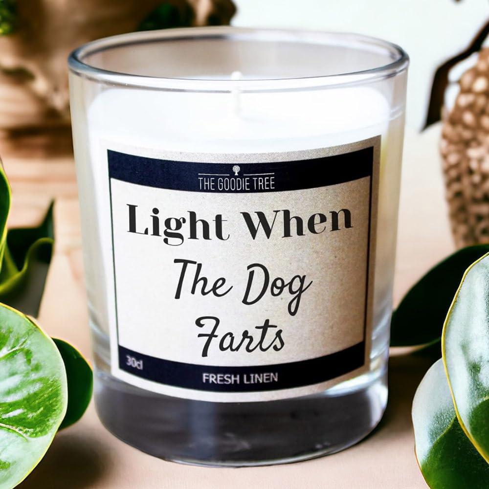 Light When the Dog Farts Fresh Linen Scented Candle 30cl