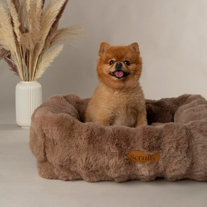 Scruffs Luxury Alpine Box Bed For Dogs or Cats (M)