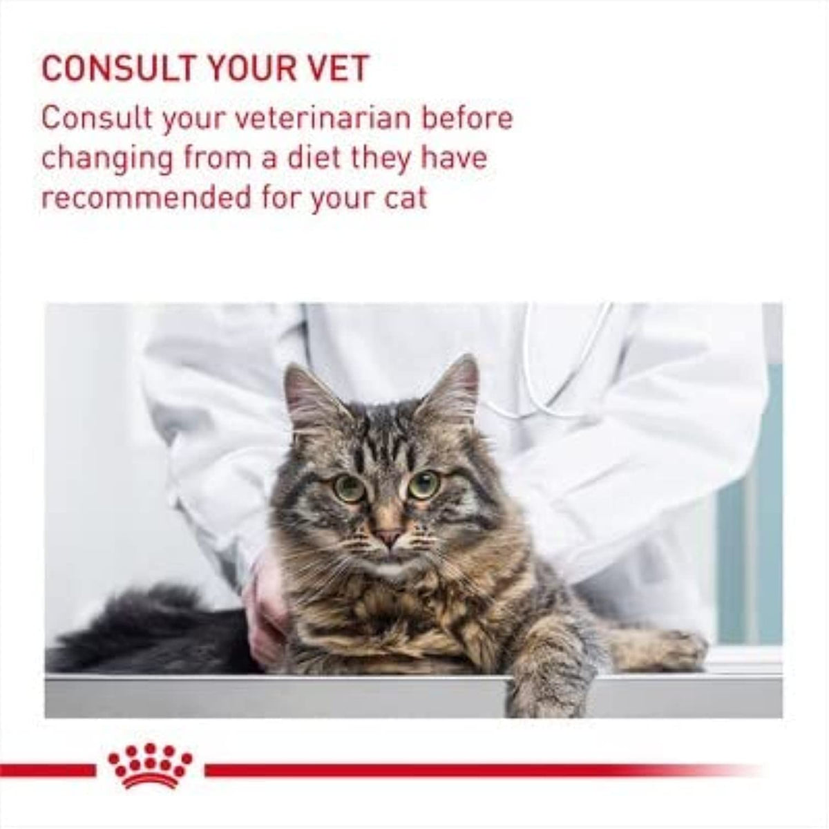 Urinary Care Cat Food 2kg