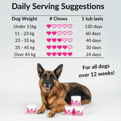 All-Itch Flea & Tick Treats for Dogs