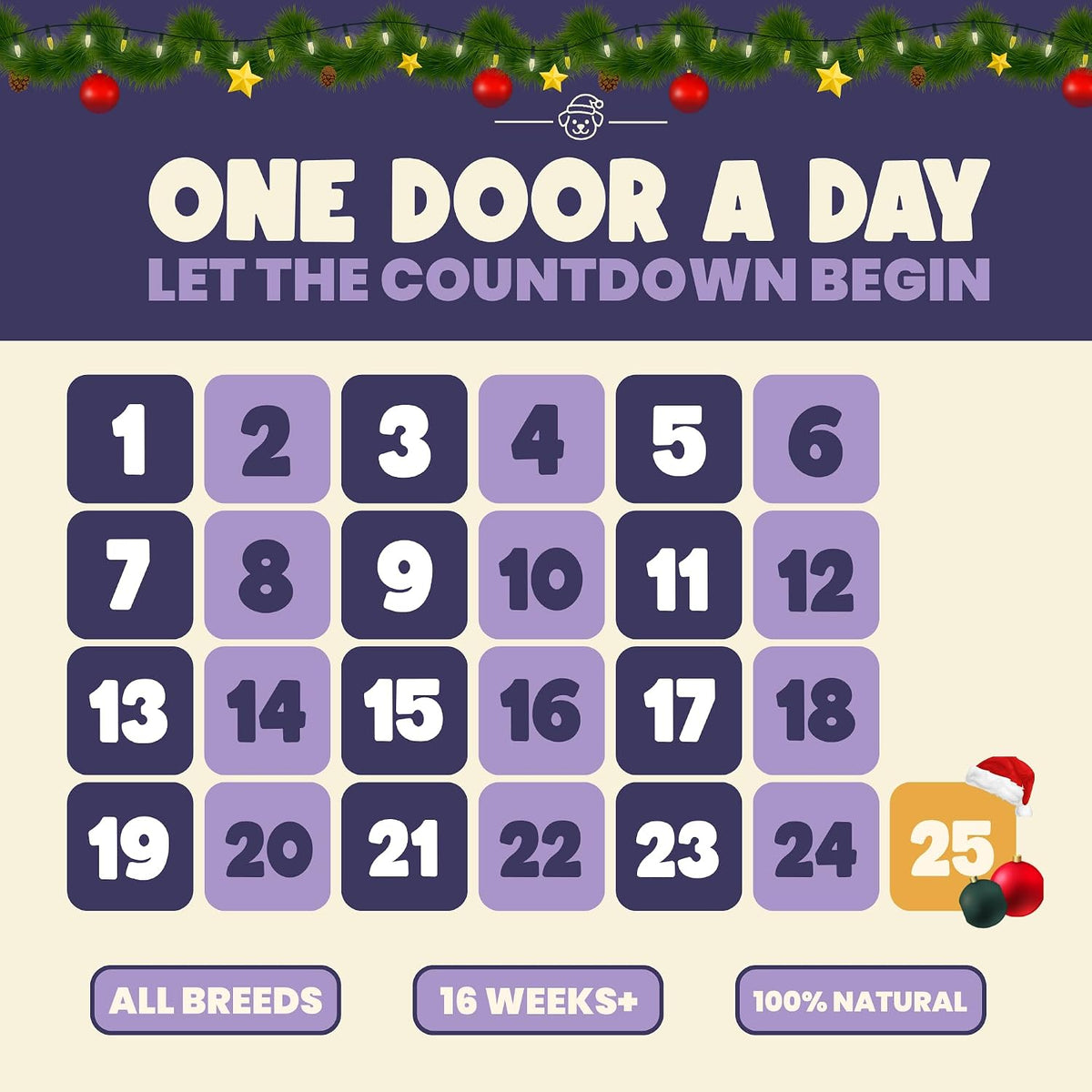 YEARS Extra Large Dog Advent Calendar 2026-55 Air Dried Grain Free Treats