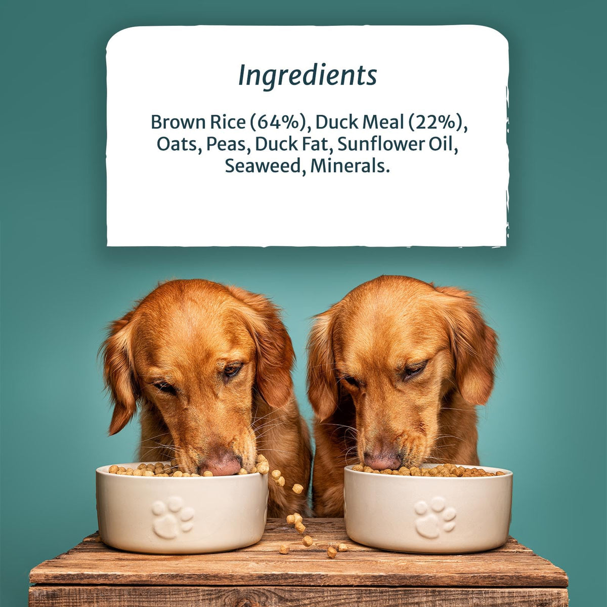 Natural Duck Hypoallergenic Dog Food