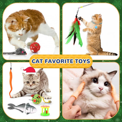 iZoeL Cat Advent Calendar 2026 Christmas Interactive Toys Indoor Cat Lover