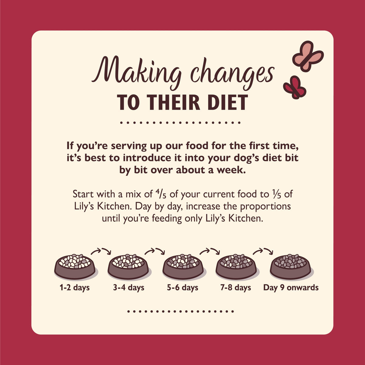 Natural Ingredients Adult Dry Dog Food Balanced Recipe