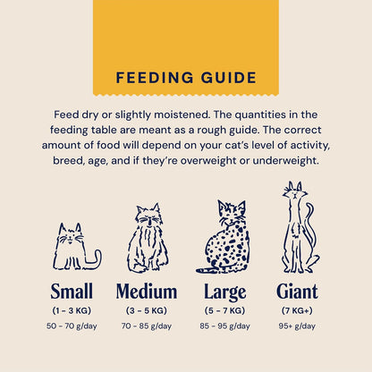 Adult Cat Superfood Complete Dry Cat Food, Turkey, 1.5kg
