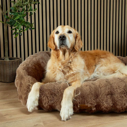 Scruffs Luxury Alpine Box Bed For Dogs or Cats (M)