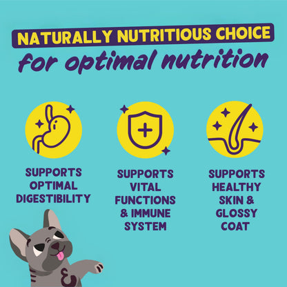 Grain-Free Wet Dog Food for Adult Dogs 11 x 150g