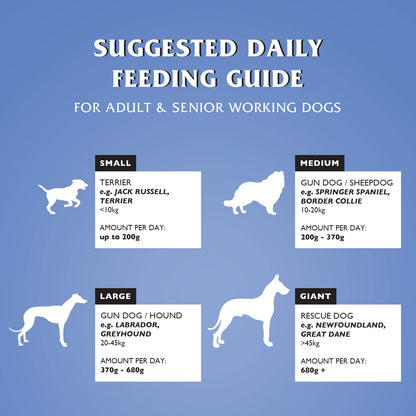 Silver Dry Dog Food Beef with Vegetables 15kg