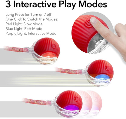 Speedy Tail 2.0 Interactive Rolling Cat Ball Toy