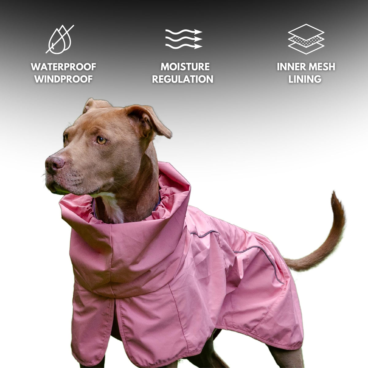 Waterproof Windproof Dog Raincoat Full-Body Suit - Sea Pink 2XL