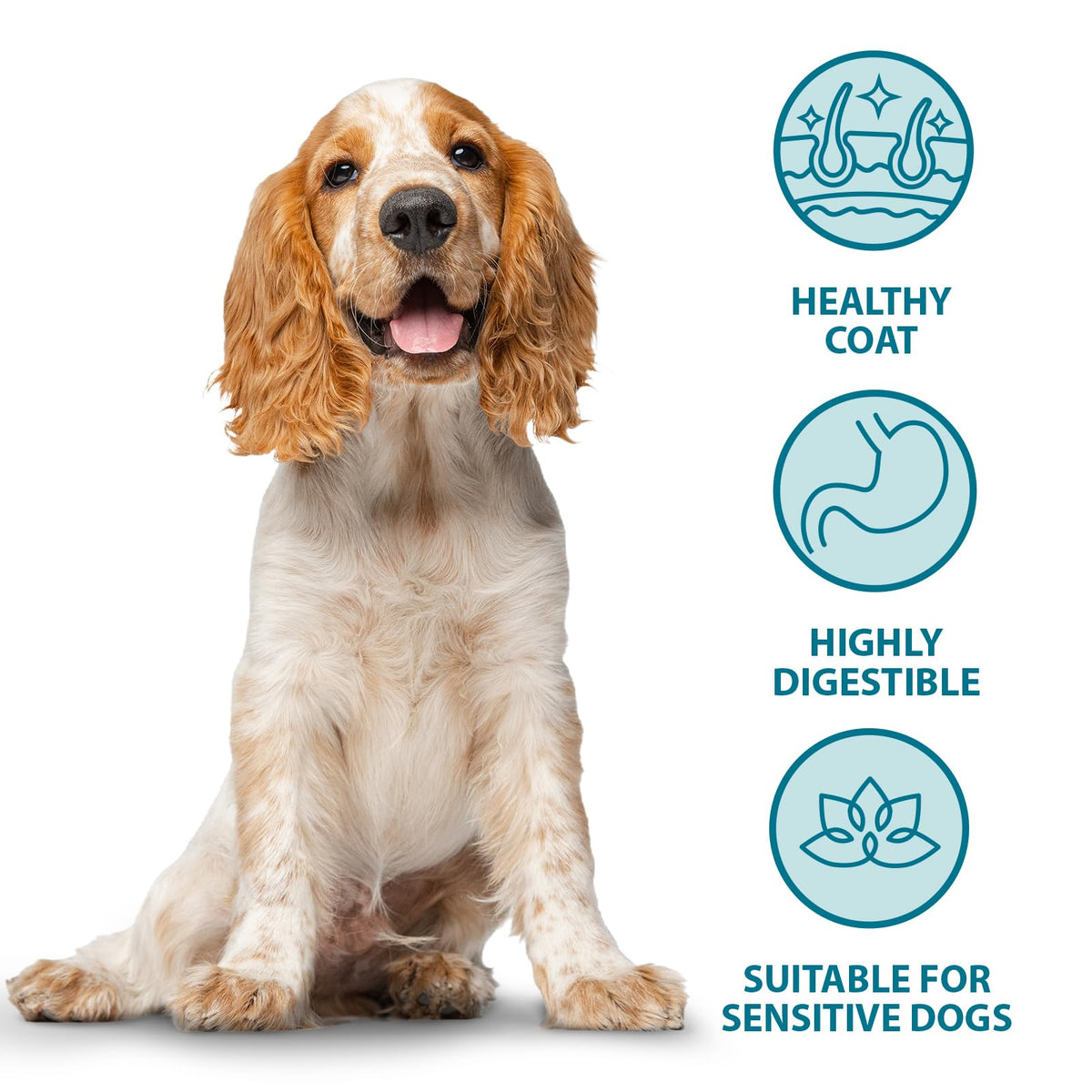 Natural Duck Hypoallergenic Dog Food