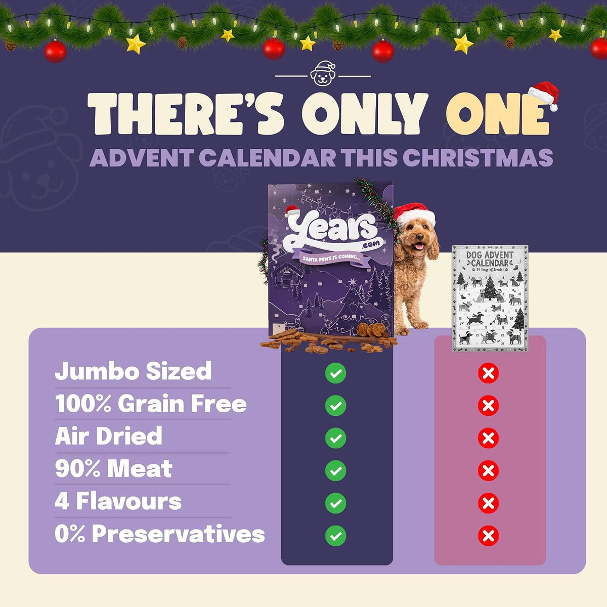 YEARS Extra Large Dog Advent Calendar 2026-55 Air Dried Grain Free Treats