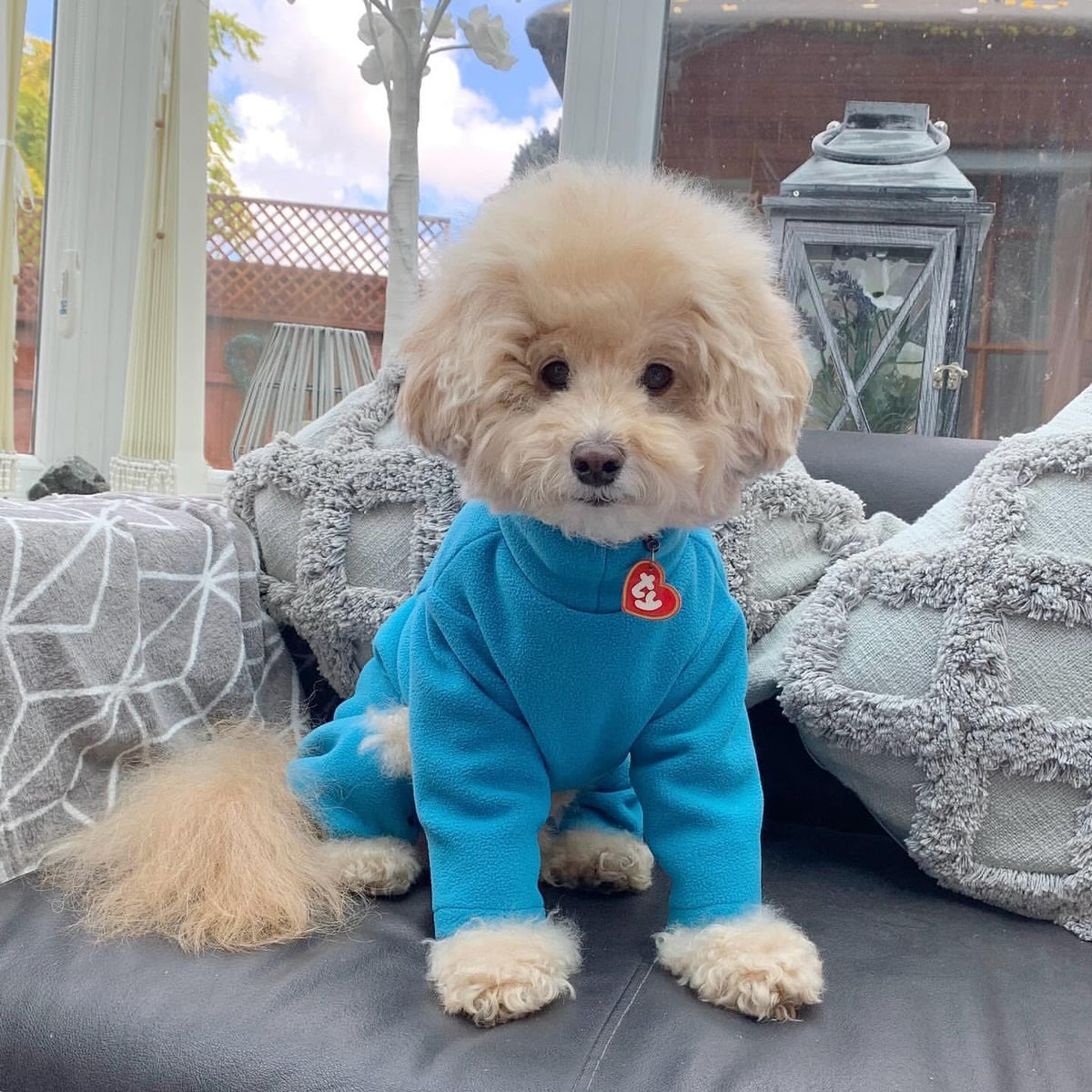 Warm Four-Legged Dog Fleece