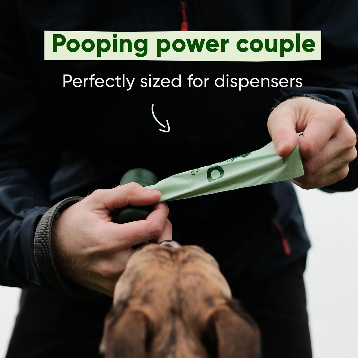 Strong Large Dog Poop Bags Rolls