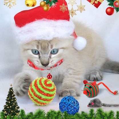 iZoeL Cat Advent Calendar 2026 Christmas Interactive Toys Indoor Cat Lover