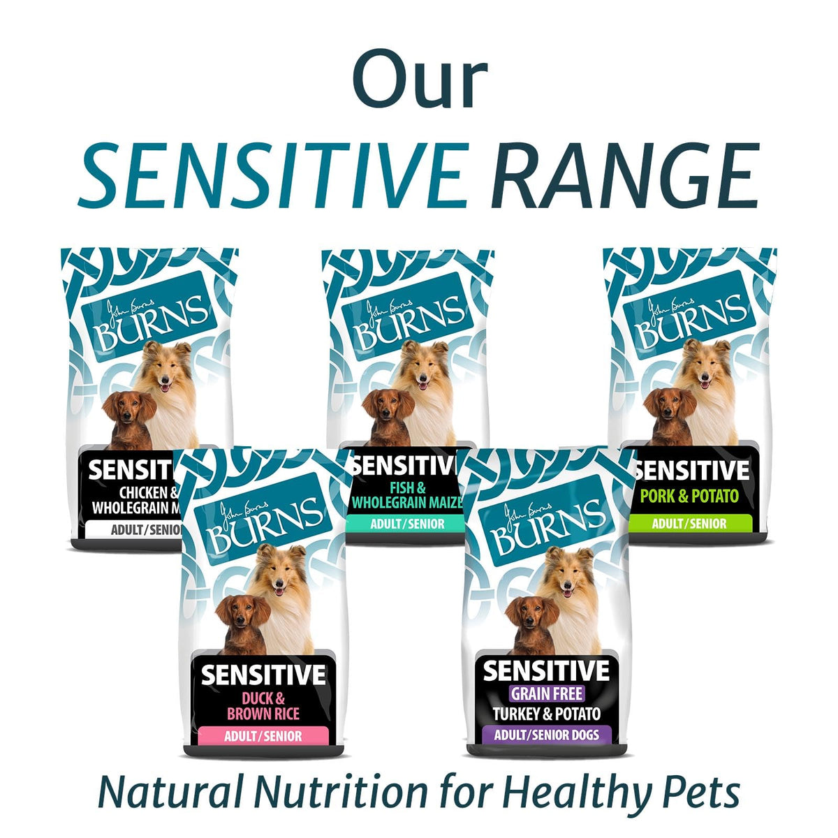 Natural Duck Hypoallergenic Dog Food