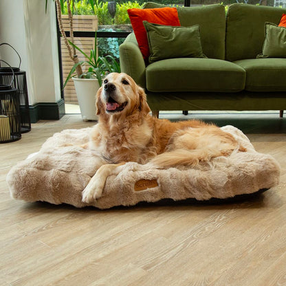 Scruffs Luxury Alpine Box Bed For Dogs or Cats (M)