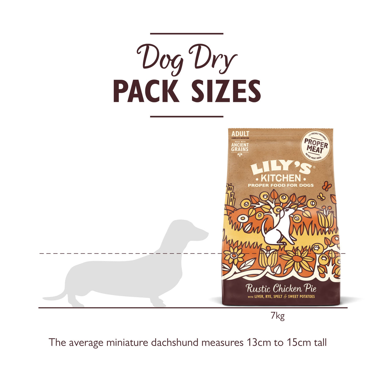 Natural Adult Dry Dog Food Beef Stew with Ancient Grains 1kg
