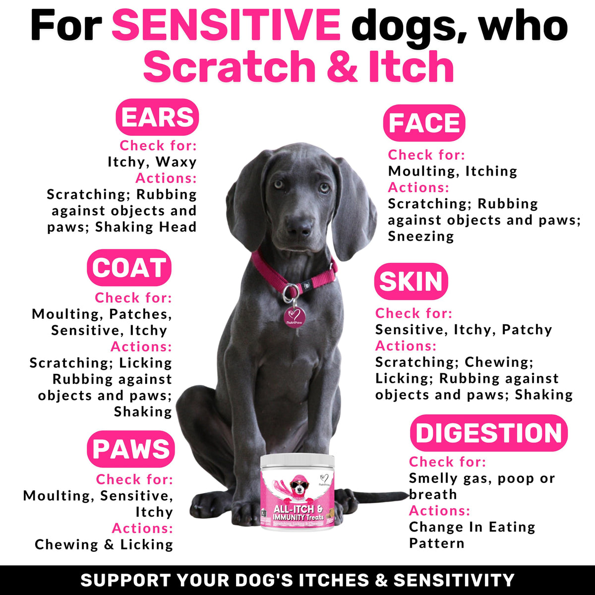 All-Itch Flea & Tick Treats for Dogs
