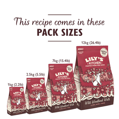 Natural Ingredients Adult Dry Dog Food Balanced Recipe