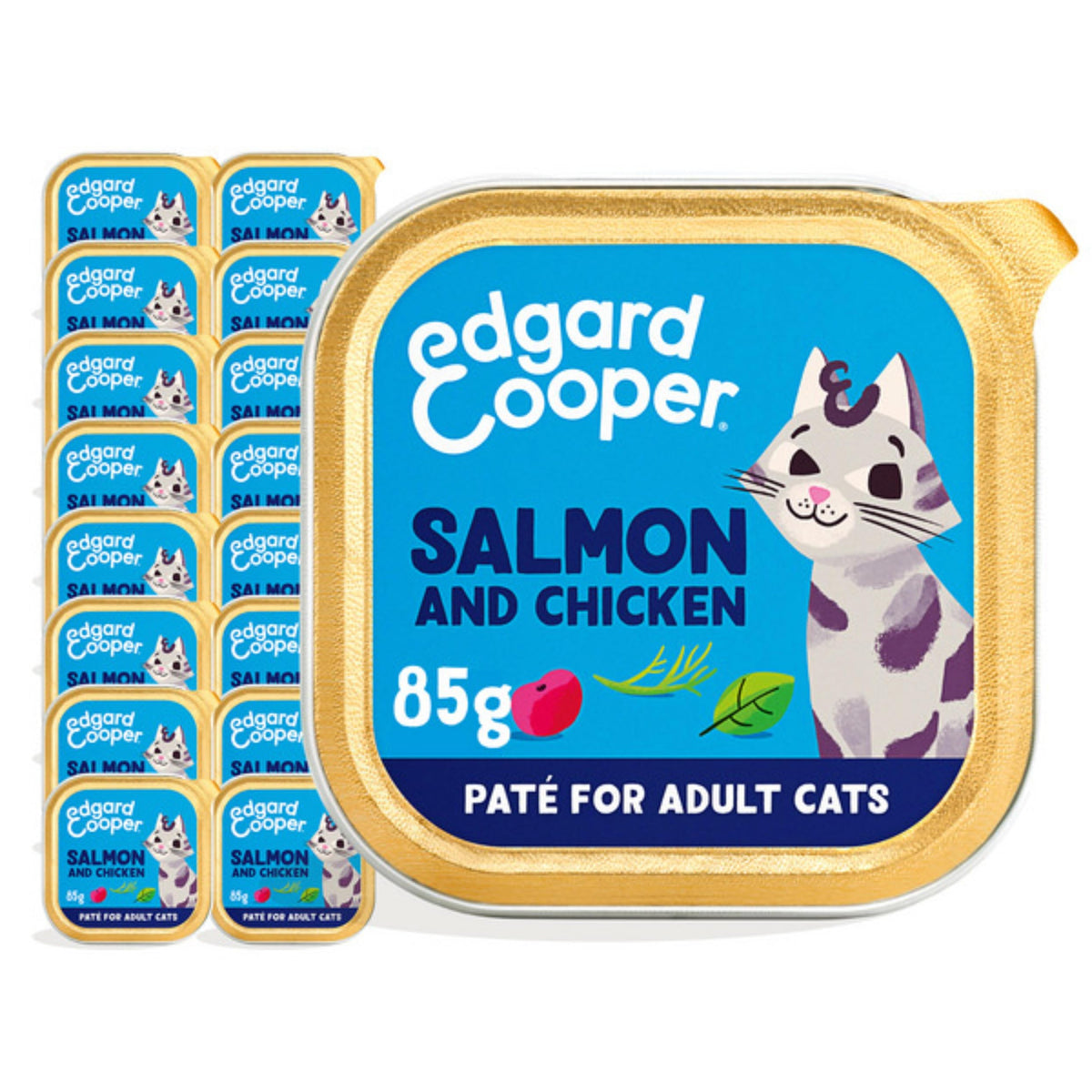 Grain Free Wet Cat Food Paté Salmon & Chicken 16 x 85g