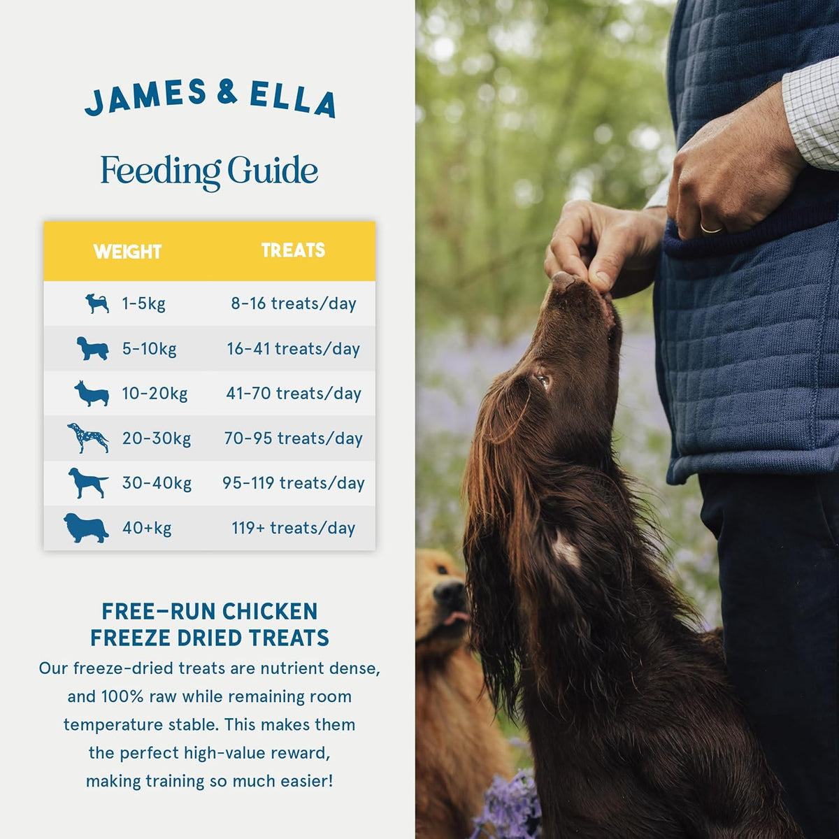 Freeze-Dried Dog Treats 40g
