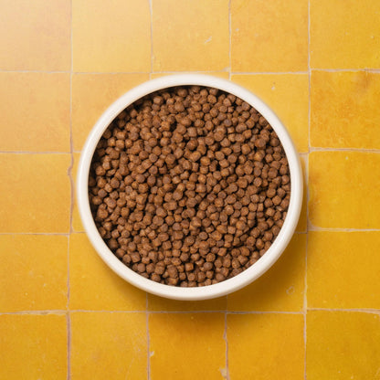 Adult Cat Superfood Complete Dry Cat Food, Turkey, 1.5kg