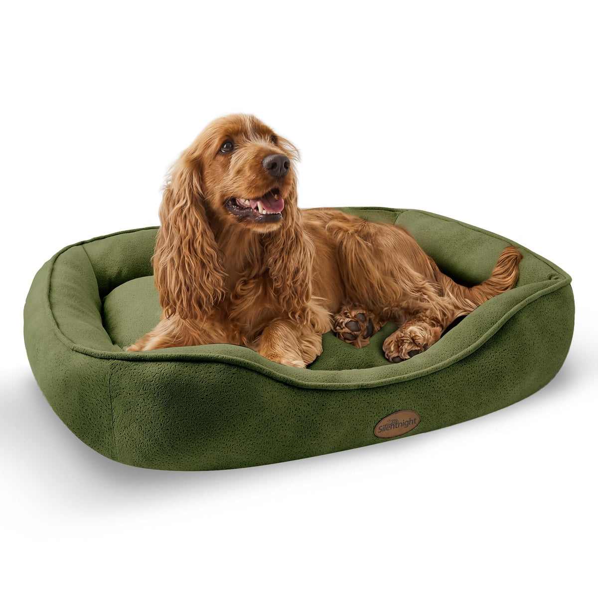 Silentnight Airmax Pet Bed - Comfortable Support for Head & Body - Breathable Prevent Overheating - Reversible Removable Cushion & Non-Slip Base - Easy Clean Machine Washable Dog Bed, Green, Small